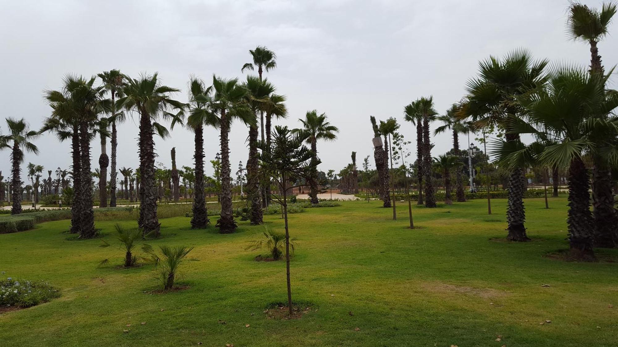 Agreable Avec 2 Tres Belles Terrasses Au Coeur De Rabat