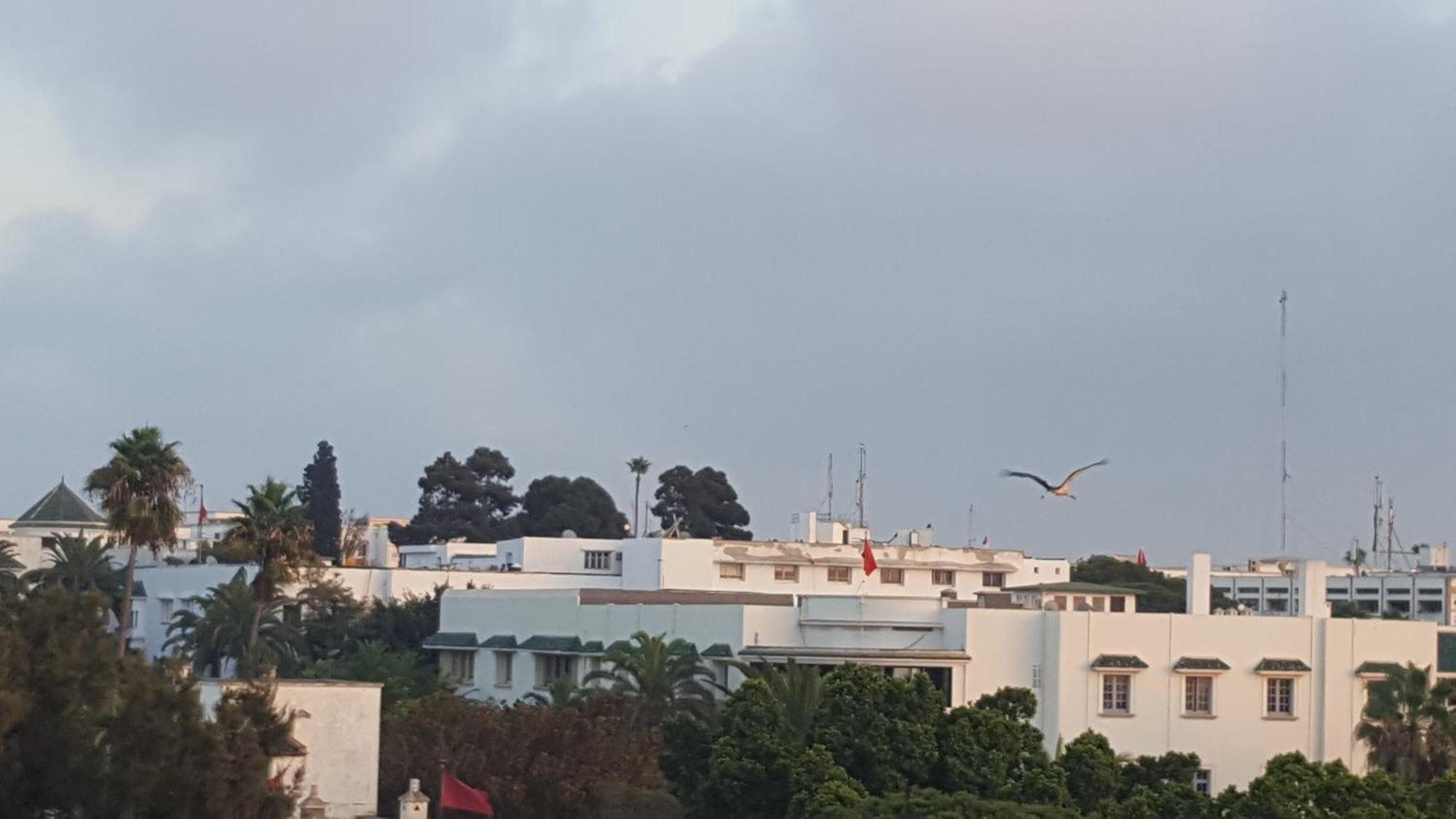 Apartment Agreable Avec 2 Tres Belles Terrasses Au Coeur De *